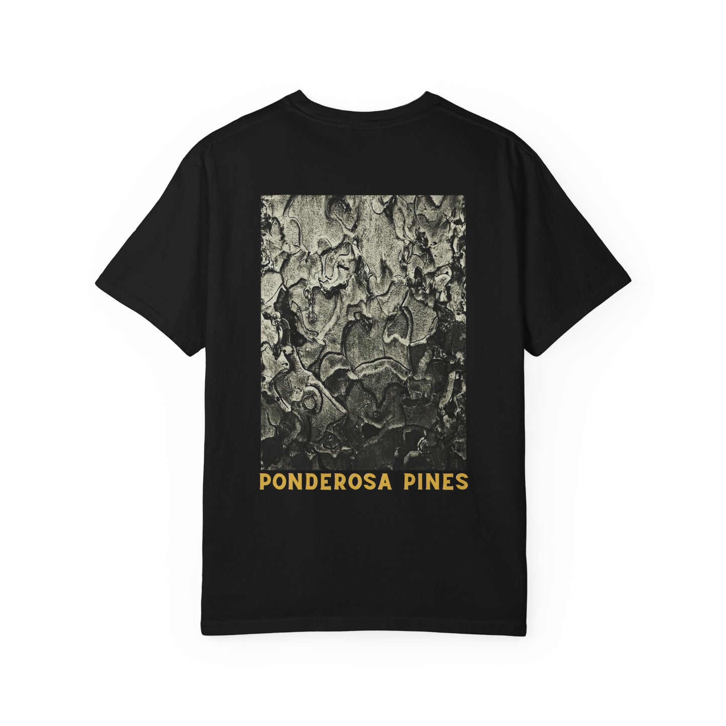 Ponderosa Pines