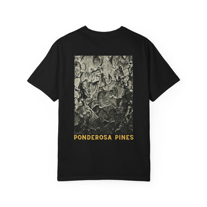 Ponderosa Pines